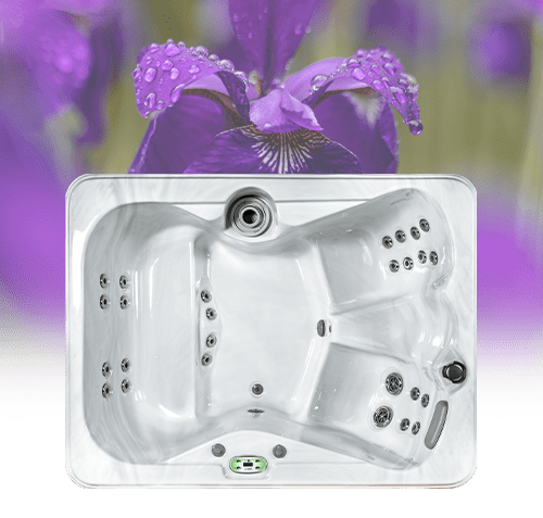 Spa tub in front of purple irises