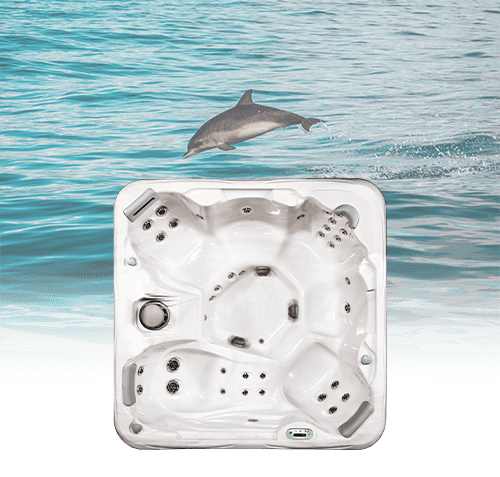 Jacuzzi and leaping dolphin scene
